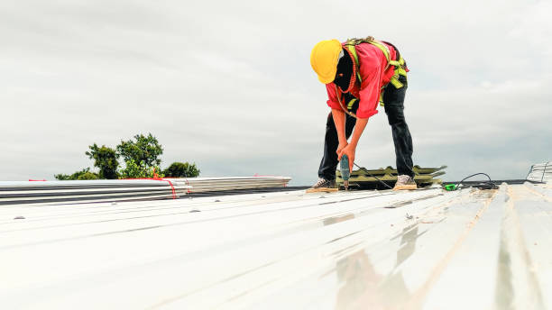 Best Roof Moss and Algae Removal  in Lovell, WY